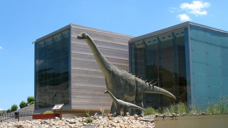 MUPA: Museo Paleontológico de Castilla-La Mancha, Cuenca