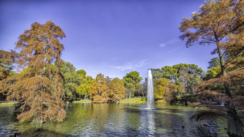 Parque de El Retiro: Una joya verde en el corazón de Madrid