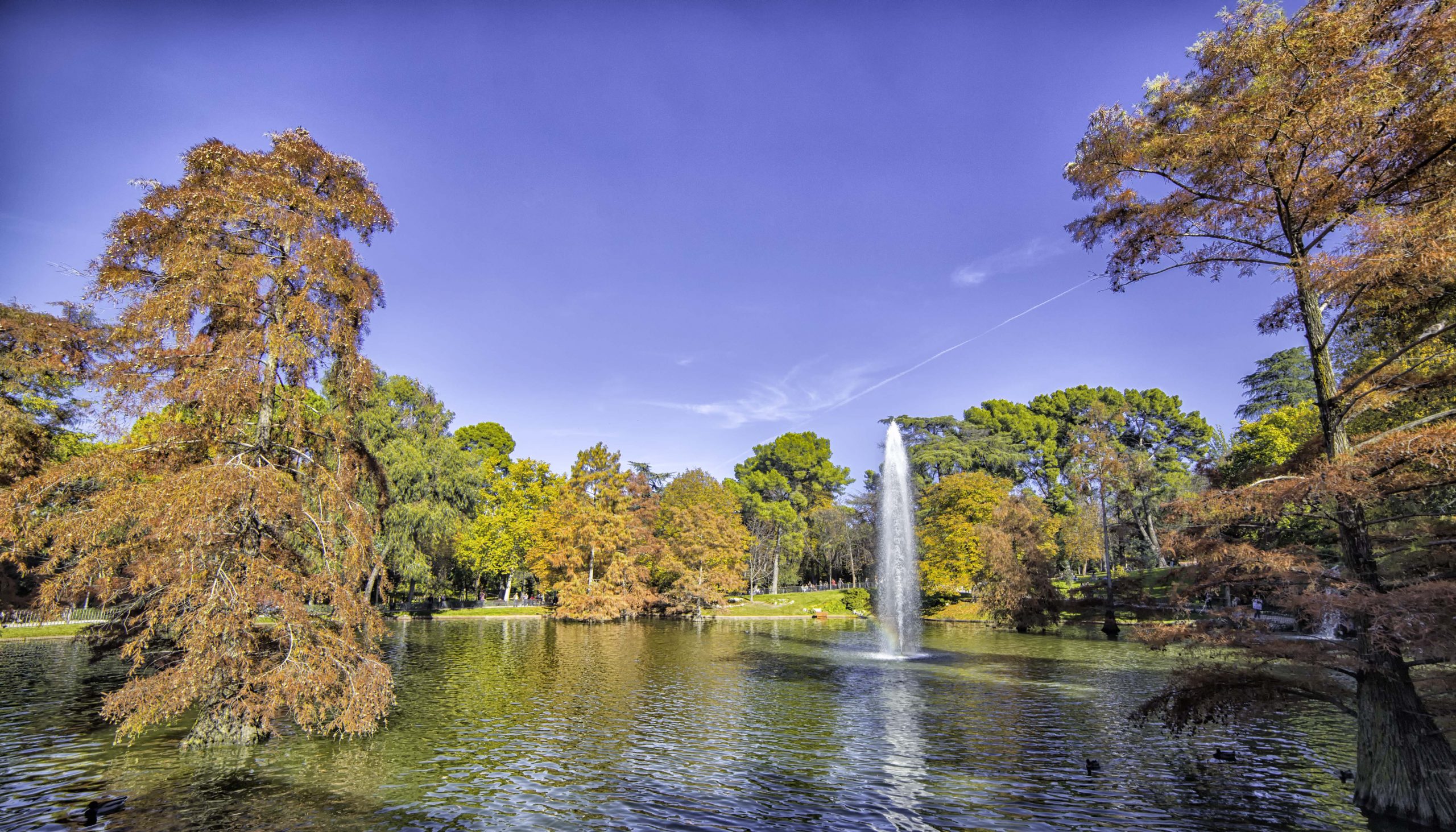 Parque de El Retiro: Una joya verde en el corazón de Madrid
