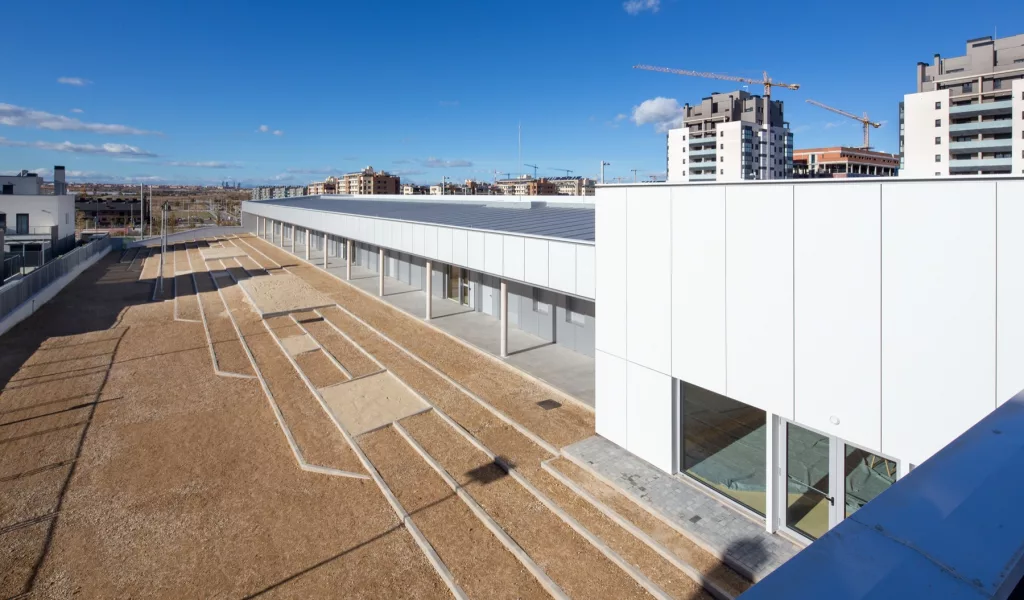 Escuela Muñeco de Nieve