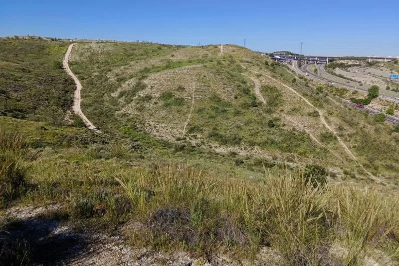 Bosque Metropolitano: revitalización del barranco de Los Ladrones