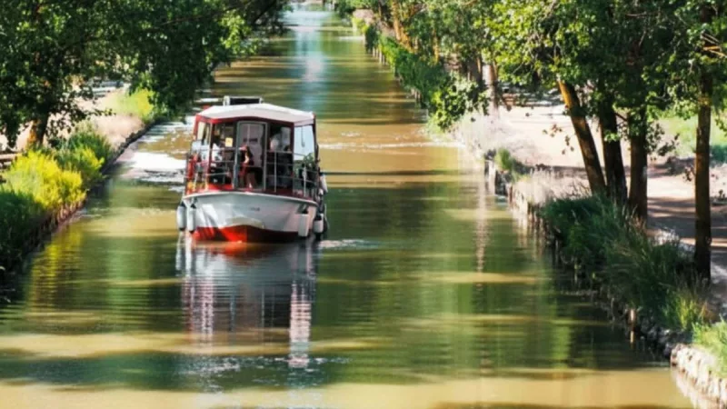 Tren del Canal de Castilla: un viaje histórico y fluvial