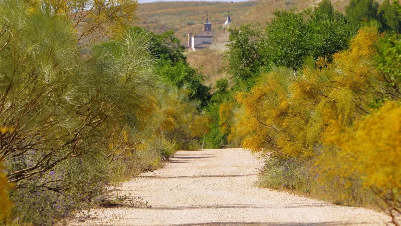 Bosque Metropolitano: revitalización del barranco de Los Ladrones