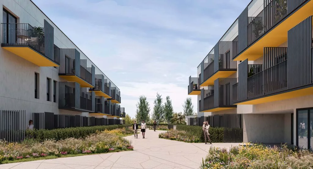 Plan Vive Adelfillas Colmenar Viejo