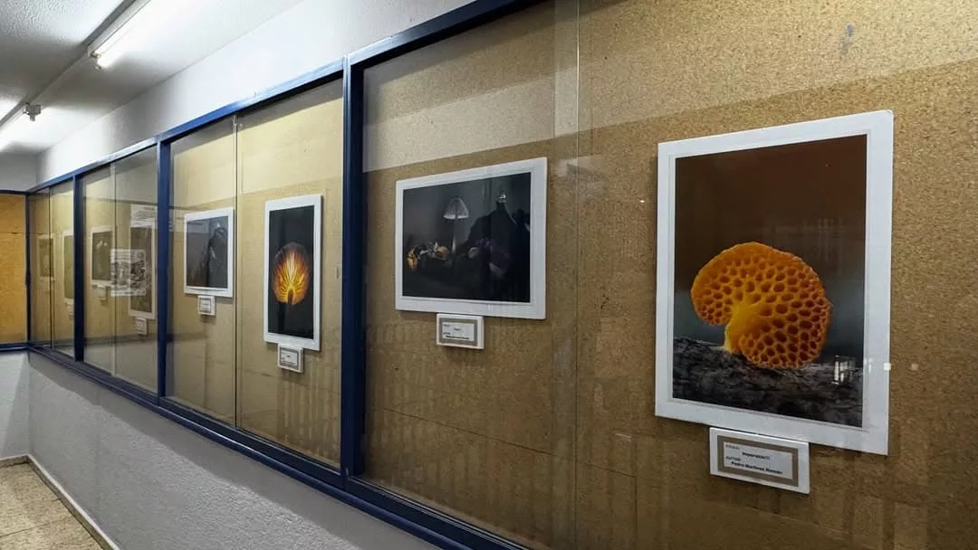 Exposiciones de fotografía, pintura y patchwork en los centros culturales de Torrejón de Ardoz