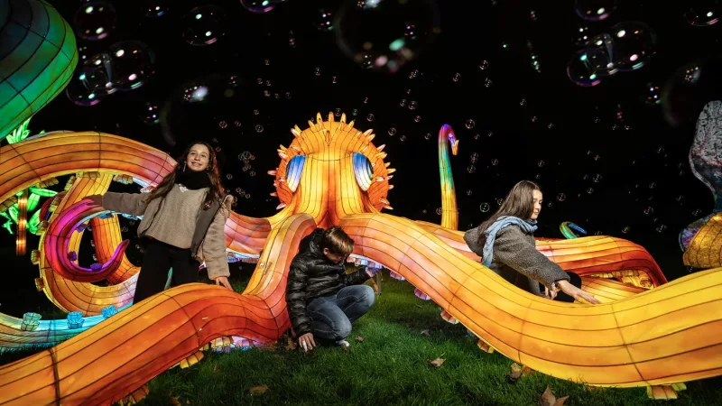 Brilla Zoo ilumina la Navidad en Getafe con un espectáculo único