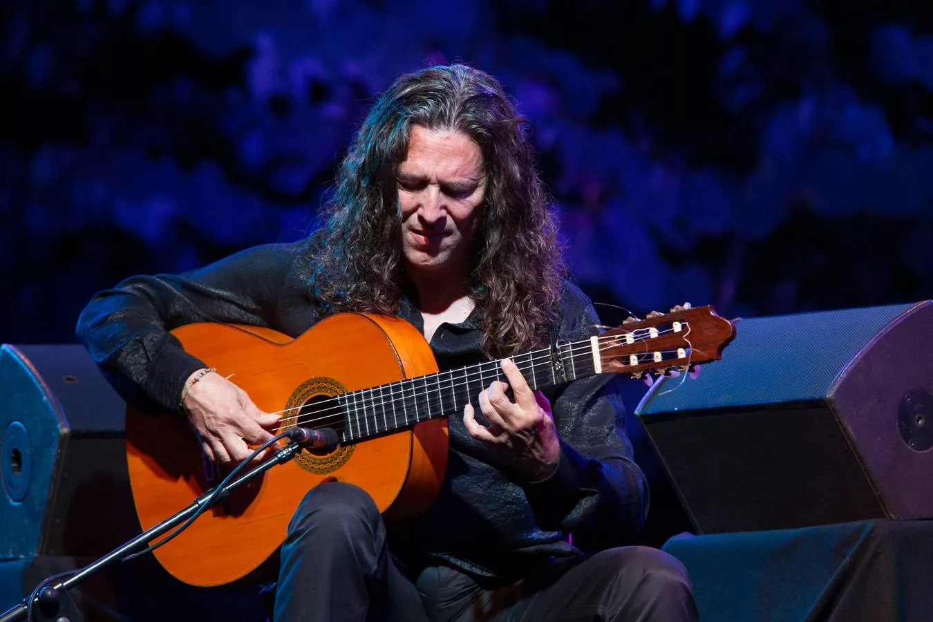 II Festival Flamenco de Móstoles: una cita ineludible con el arte jondo