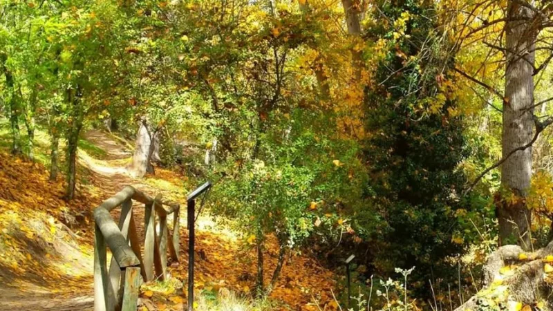 Senda fluvial del Manzanares: otoño fácil en El Pardo