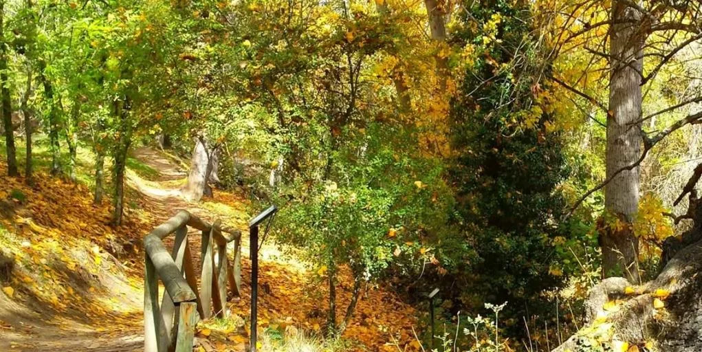 Senda fluvial del Manzanares: otoño fácil en El Pardo