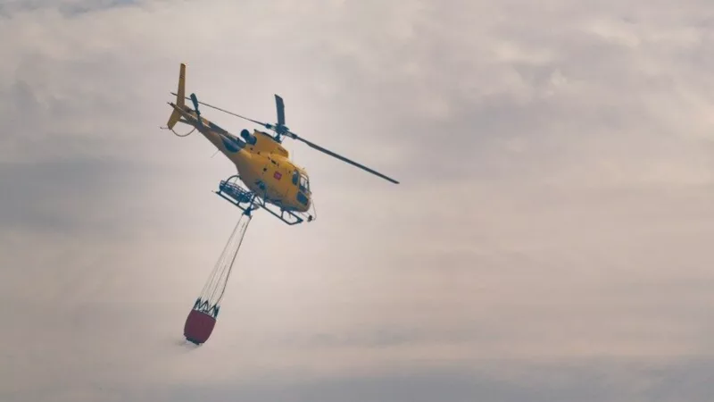 Restauración del Monte de Viñuelas tras el incendio de Tres Cantos