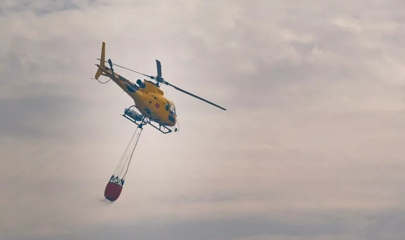 Restauración del Monte de Viñuelas tras el incendio de Tres Cantos
