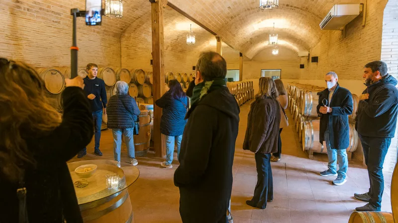 Enoturismo madrileño: descubre la experiencia de Vinos y Aceites Laguna
