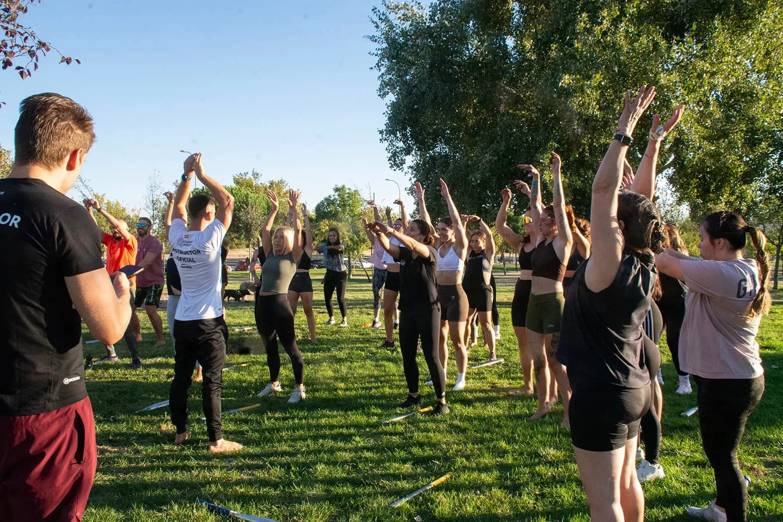 Entrenamiento híbrido y calistenia gratis en Alcorcón