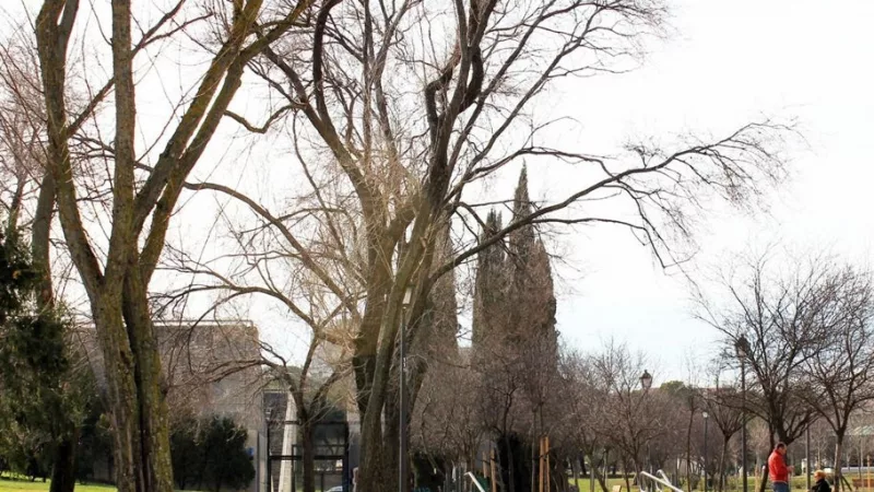 Cerro Almodóvar: nuevo parque activo en Latina