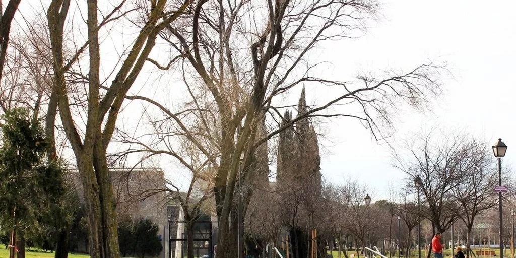 Cerro Almodóvar: nuevo parque activo en Latina