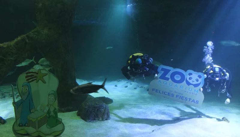 Belén acuático de tiburones en el Zoo de Madrid