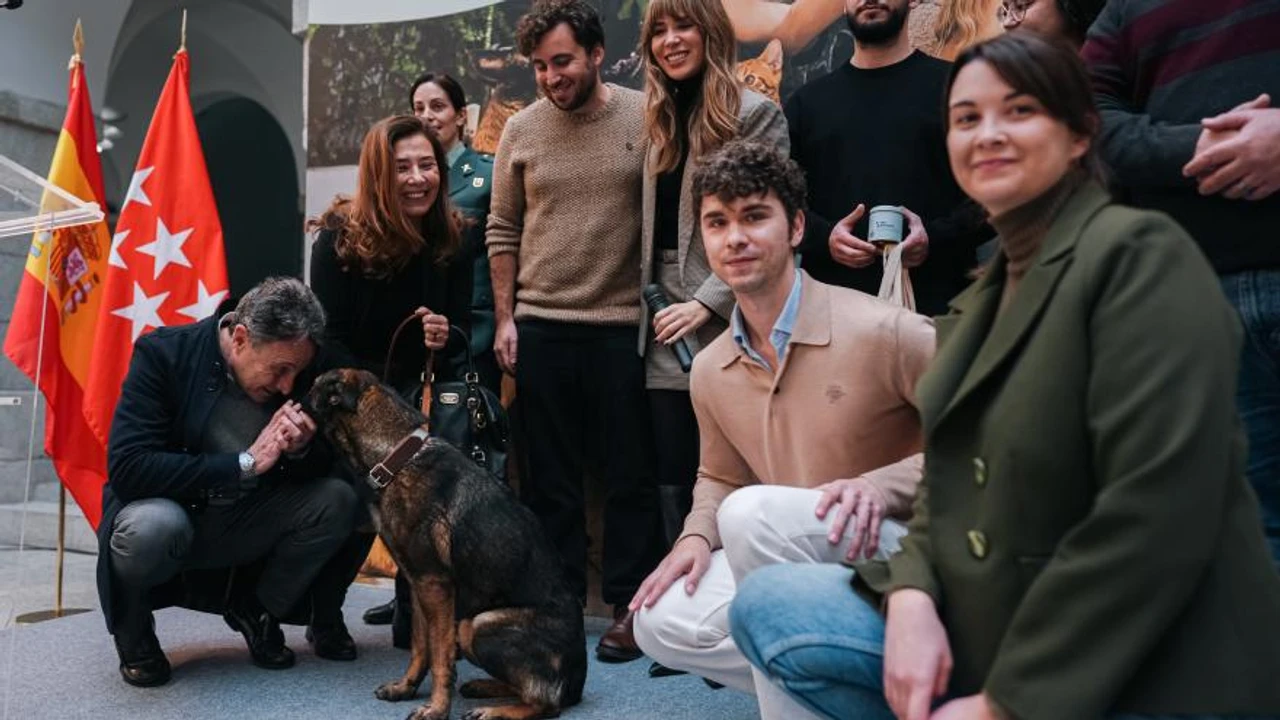 La Comunidad de Madrid recibe reconocimiento por apoyo a adopción de perros de servicio jubilados en Madrid