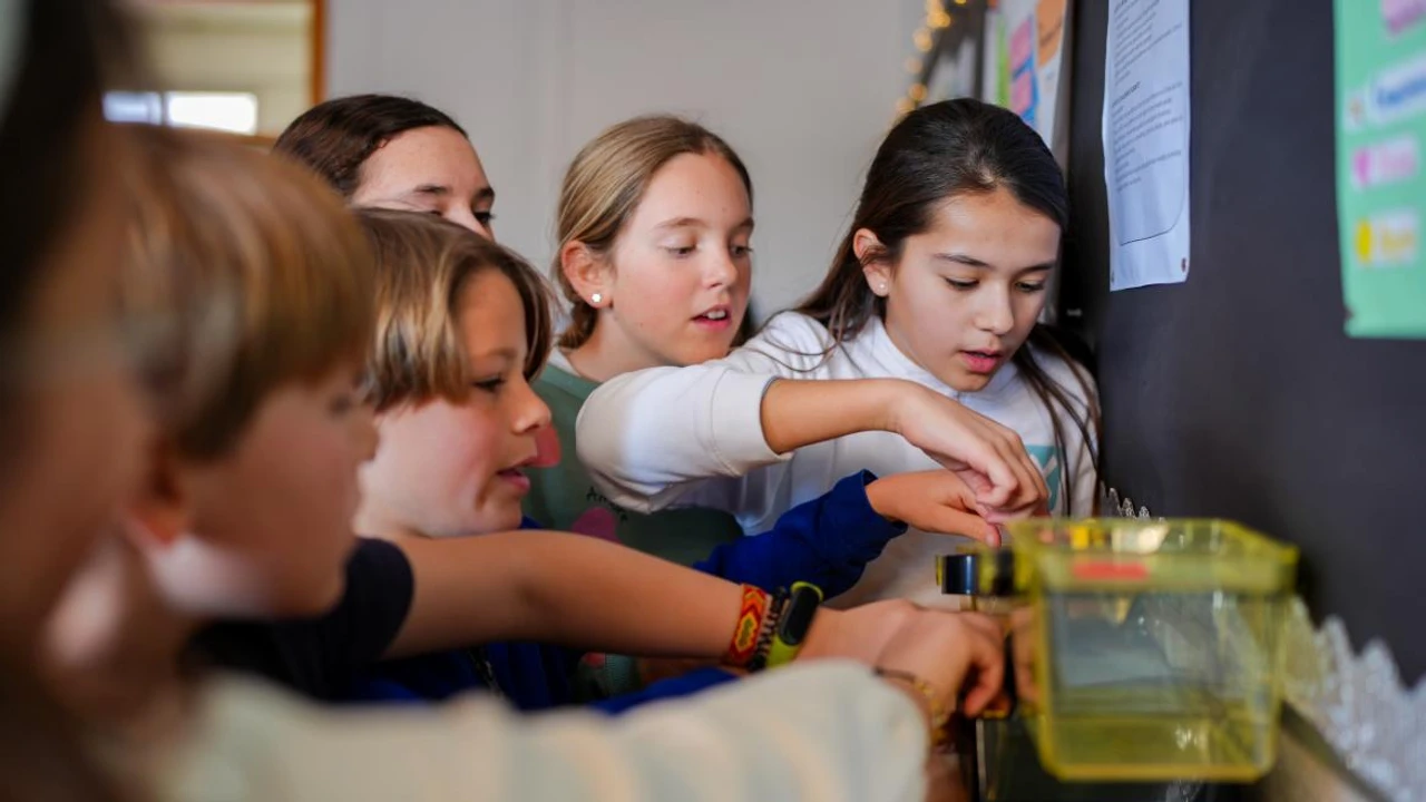 Liga Intermunicipal de Minecraft en la Comunidad de Madrid para alumnos de primaria