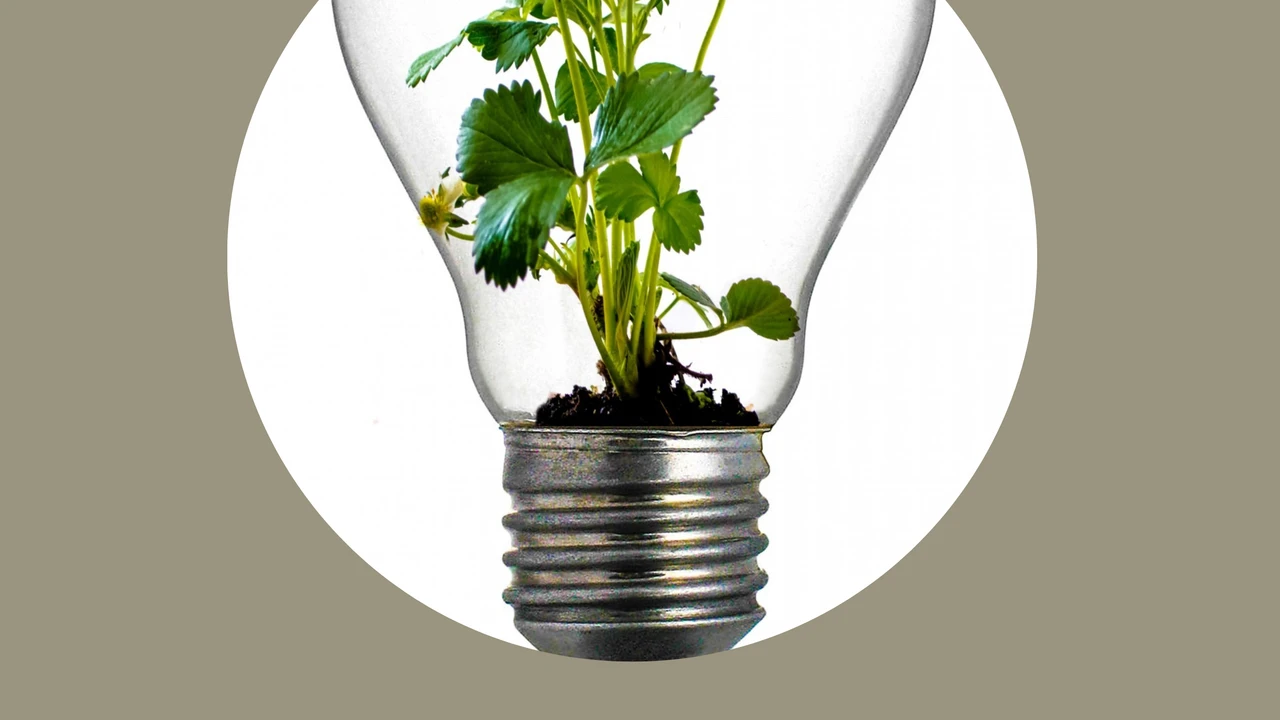 La Policía Local de Velilla de San Antonio renueva su uniformidad y elementos de identificación