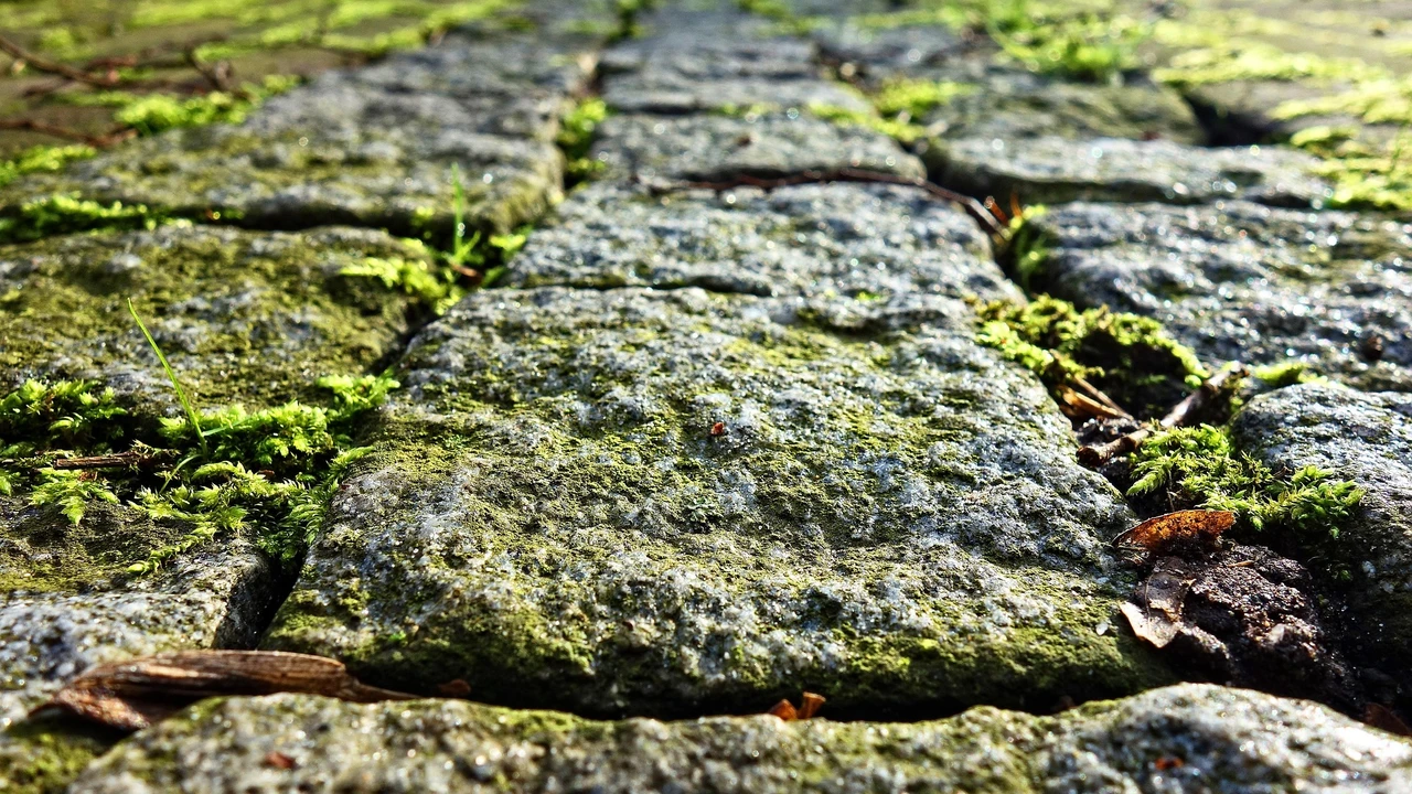 Aranjuez renovará su pavimento histórico con tecnología ecológica y criterios de accesibilidad en el casco histórico