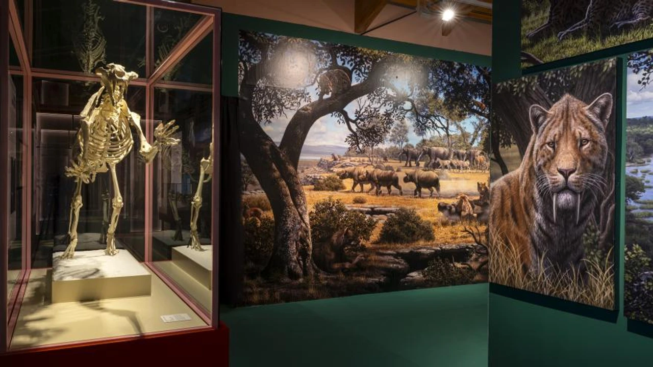 Programación cultural de Madrid: teatro, flamenco y exposiciones en enero