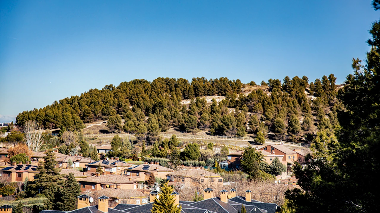 Jornada informativa sobre reforestación en el parque de Mazalmadrit en Rivas Vaciamadrid