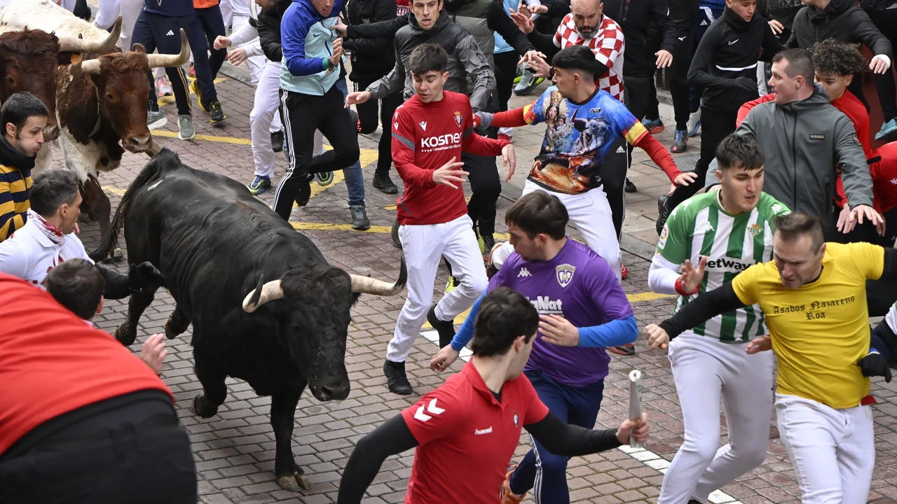Encierro blanco en San Sebastián de los Reyes 2026: carrera rápida y nueve asistencias leves