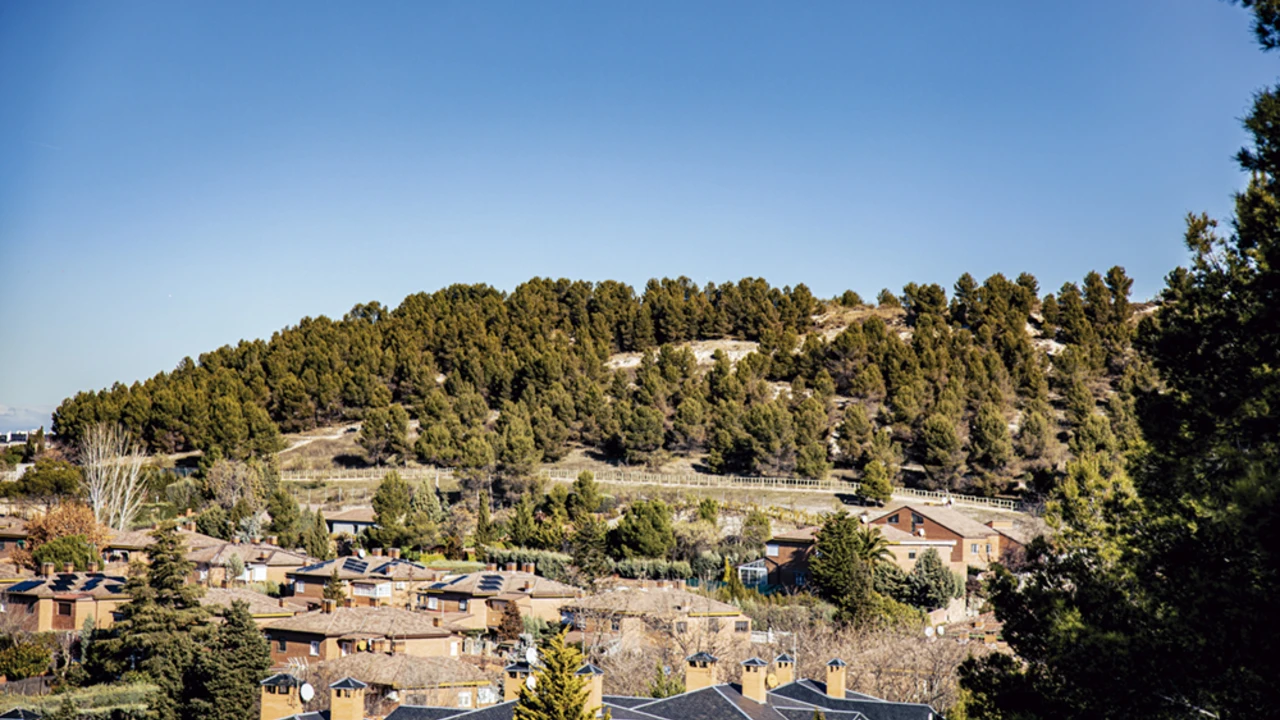Restauración forestal del Parque de Mazalmadrit en Rivas-Vaciamadrid
