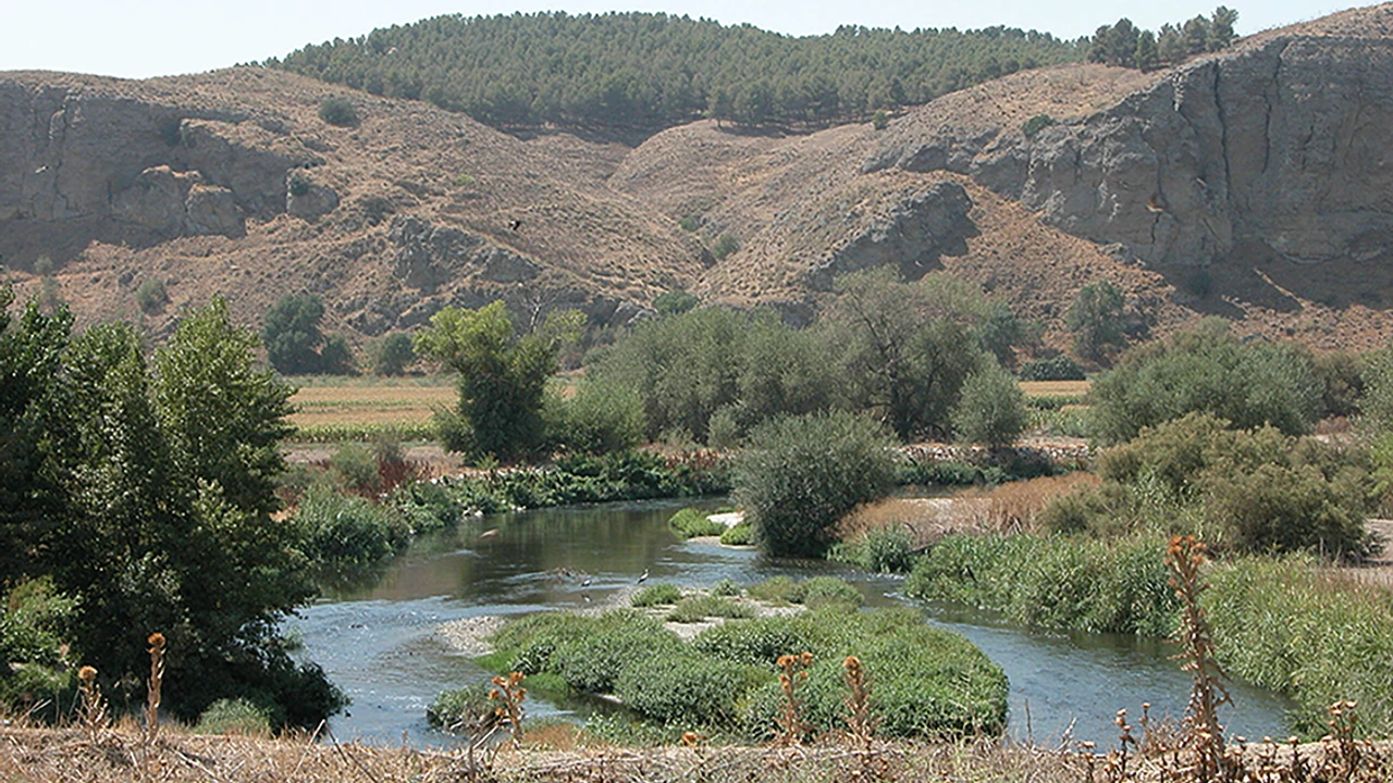 Rutas guiadas y jornadas de plantación en el Parque Regional del Sureste de Madrid